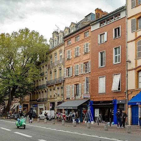 Cozy Et Mezzanine Hypercentre 툴루즈